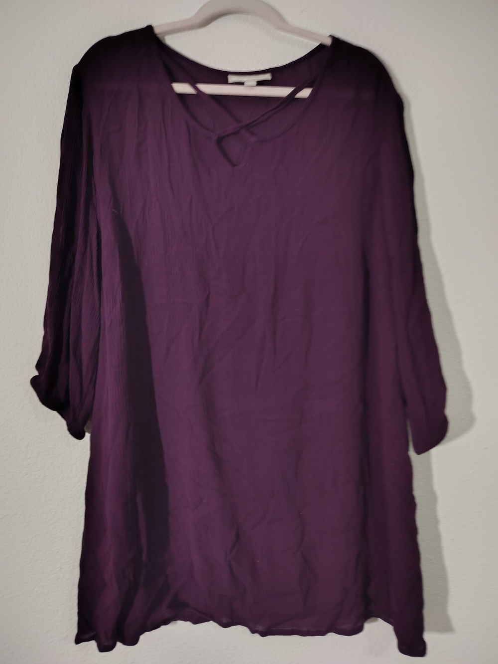 Woman Within Deep Purple V-Notch Tunic Top
